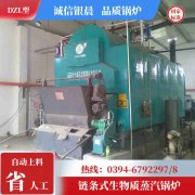 全自动燃油蒸汽星空网（中国）