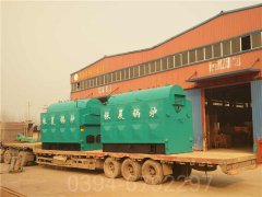 新疆0.4吨燃油热水星空网（中国）