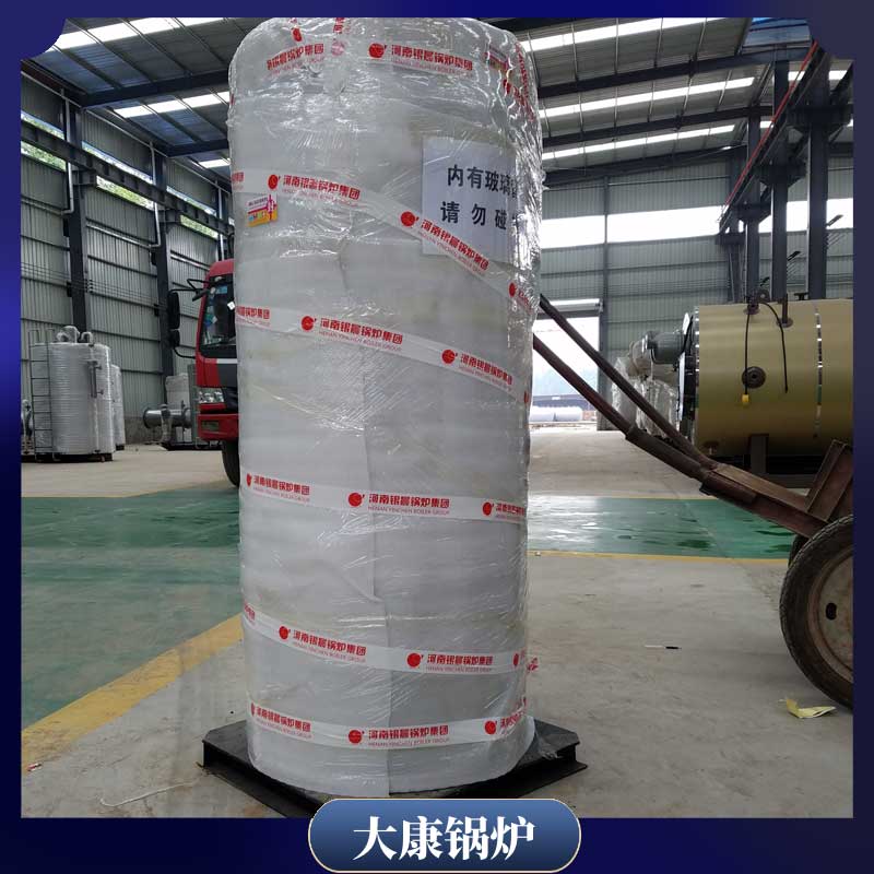 1t燃生物质星空网（中国）