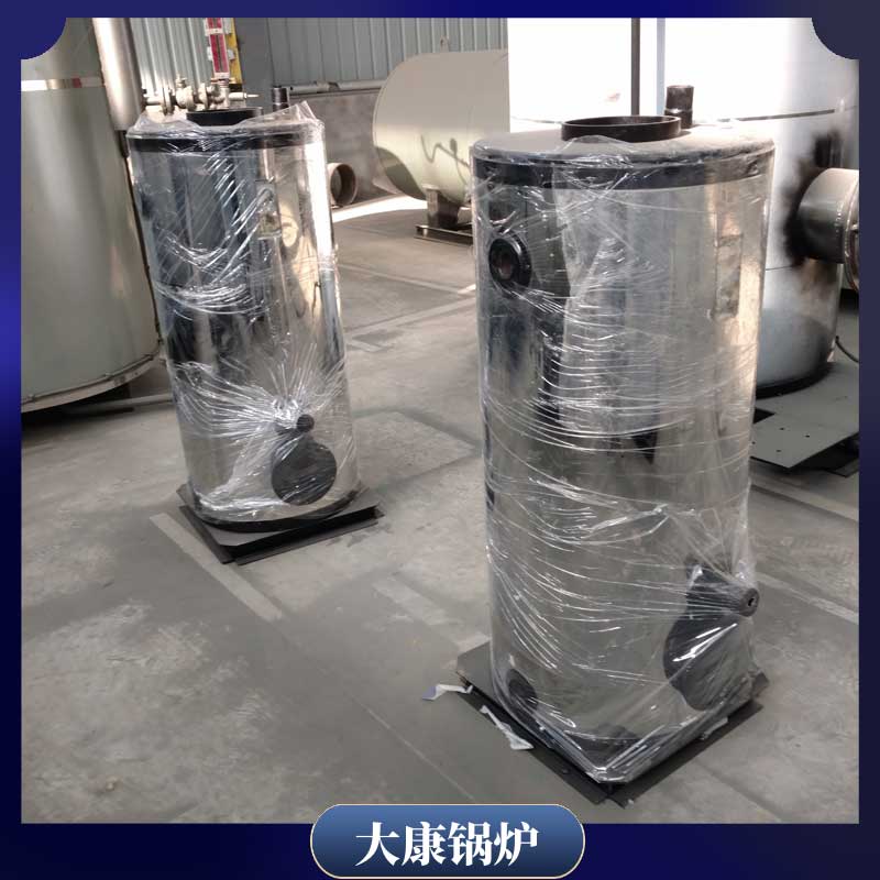 20吨立式蒸汽星空网（中国）