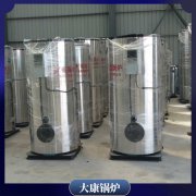 海南二十吨低氮蒸汽星空网（中国）