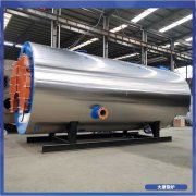 广西12吨常压热水星空网（中国）