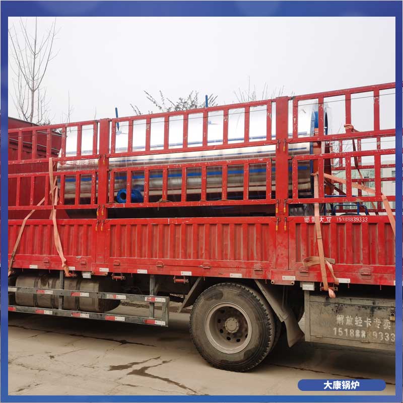 15吨低氮冷凝蒸汽星空网（中国）