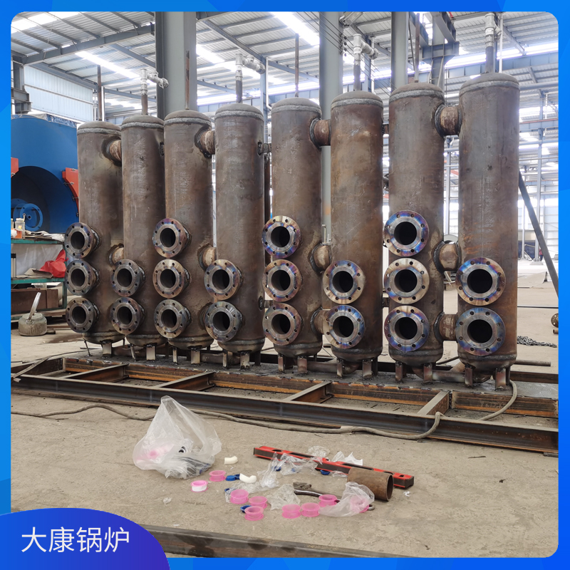 3吨燃生物质星空网（中国）