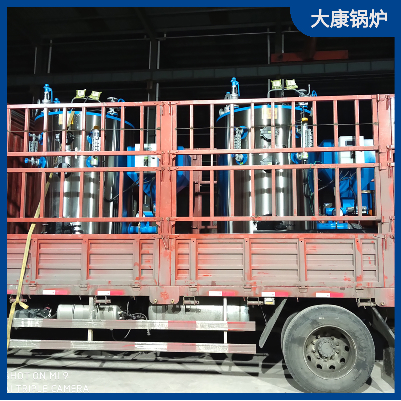 生物质煤星空网（中国）星空网垃圾焚烧热水炉