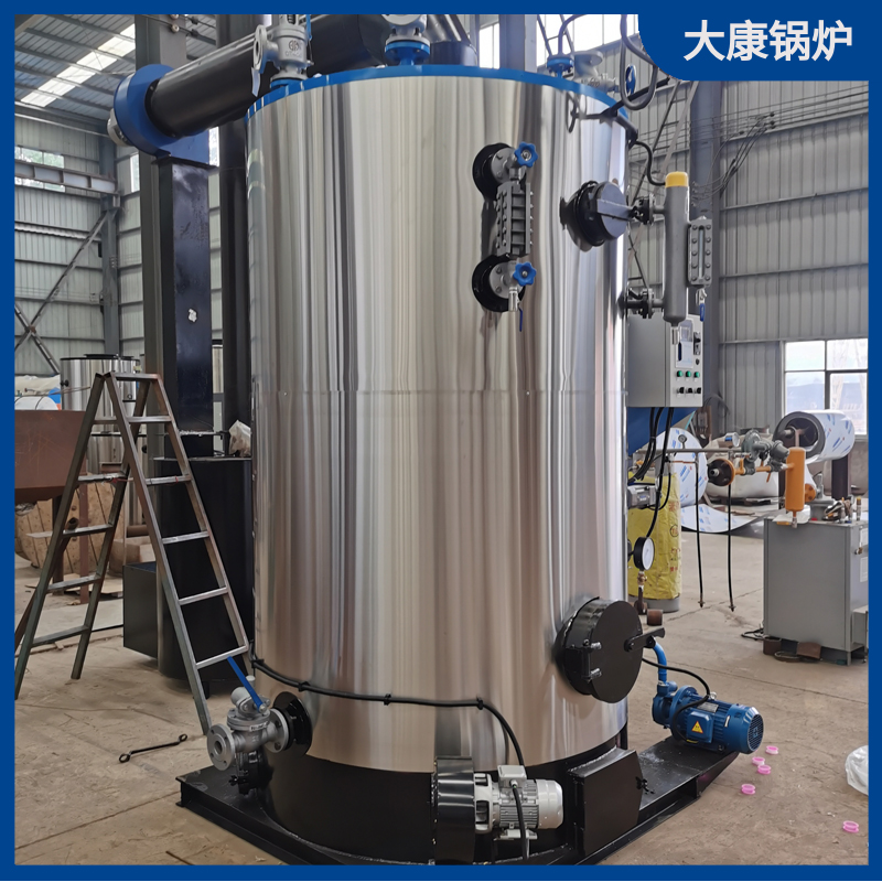 2t生物质蒸汽星空网（中国）