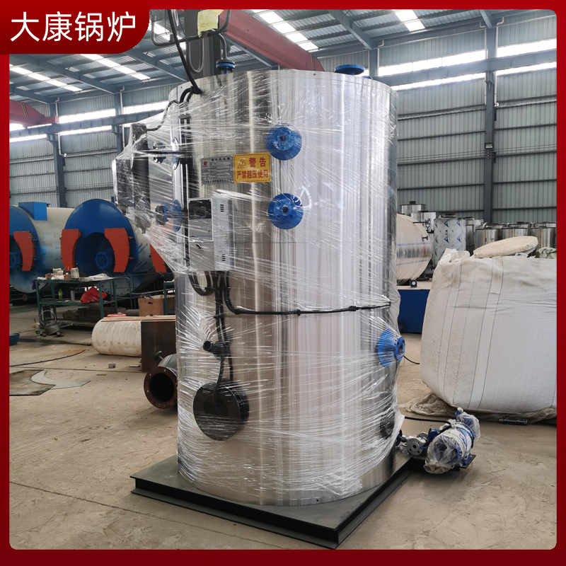 6t生物质燃料星空网（中国）