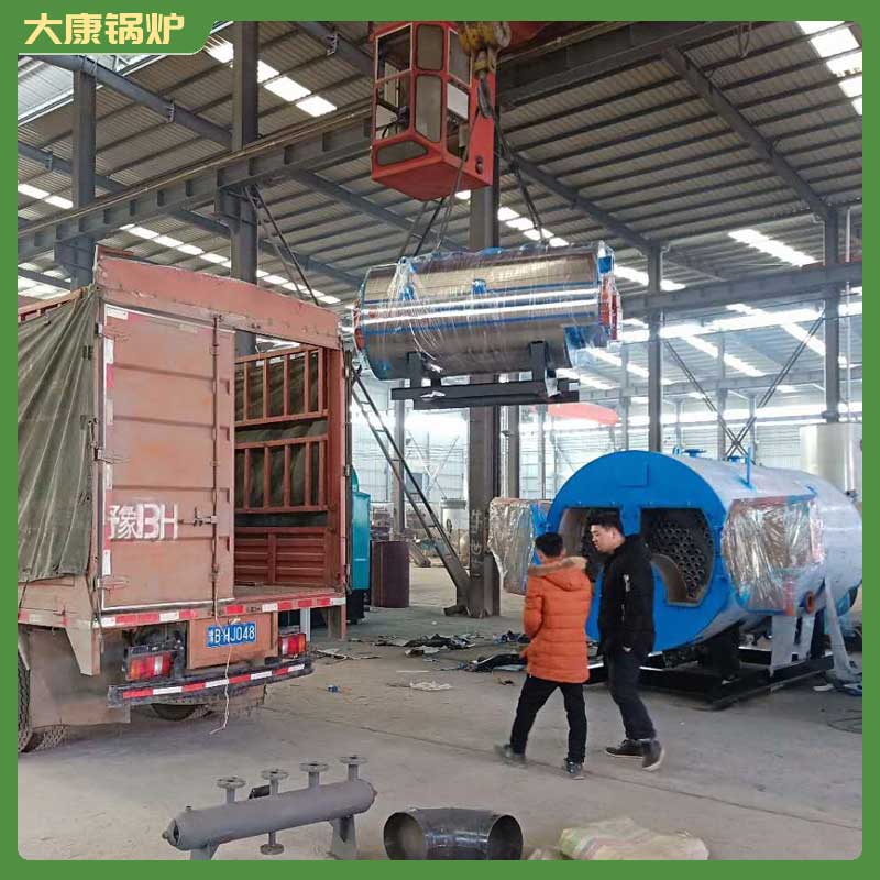 10t生物质蒸汽星空网（中国）