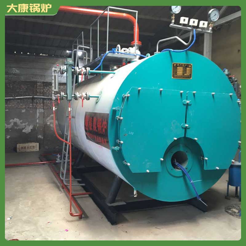 一t燃生物质星空网（中国）