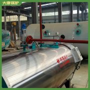 双燃料蒸汽星空网（中国）3吨 4吨环保节能