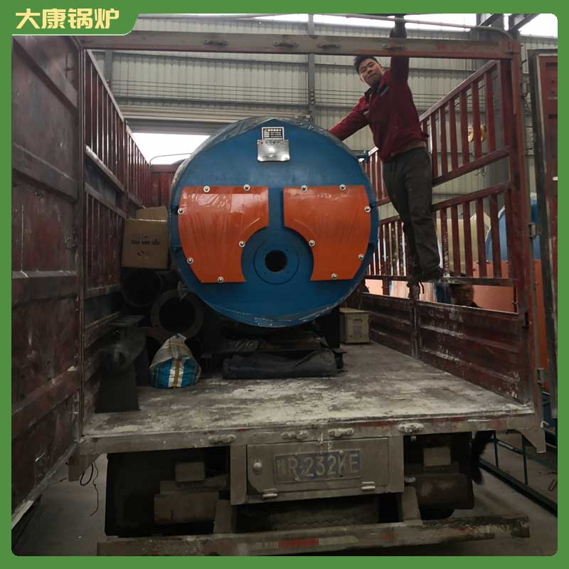 自动生物质星空网（中国）河南大康星空网（中国）有限公司冷凝燃气热水炉