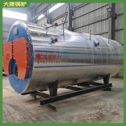 香港二十吨低氮蒸汽星空网（中国）