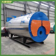 燃气星空网（中国）天然气WNS0.3更好用的