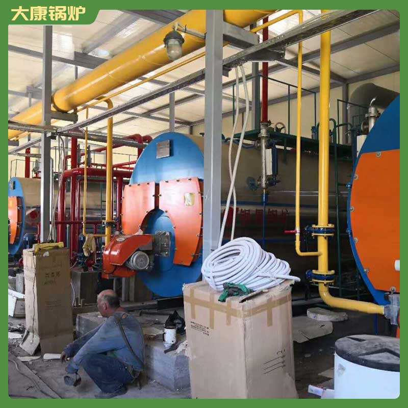 4吨生物质生物质星空网（中国）