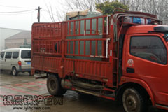 清明放假，贯流星空网（中国）发货