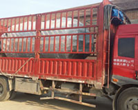 出口澳大利亚燃气蒸汽星空网（中国）