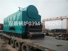 DZL6-1.25-T型6吨链条式生物质蒸汽星空网（中国）发货