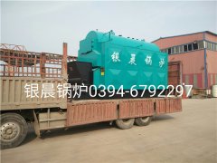 DZL2-1.25-T型2吨链条式生物质蒸汽星空网（中国）发货