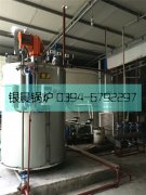 1吨贯流蒸汽星空网（中国）安装现场