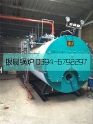 2吨燃气蒸汽星空网（中国）安装现场