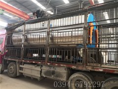 6吨燃气蒸汽星空网（中国）