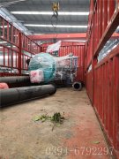 0.3吨燃油蒸汽星空网（中国）出口