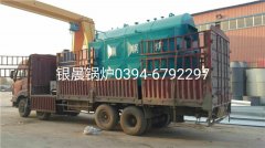 DZH2-1.25-T型2吨生物质蒸汽星空网（中国）发货