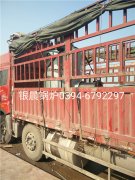 LSS0.5-1.0-Q型0.5吨贯流式燃气蒸汽星空网（中国）发货